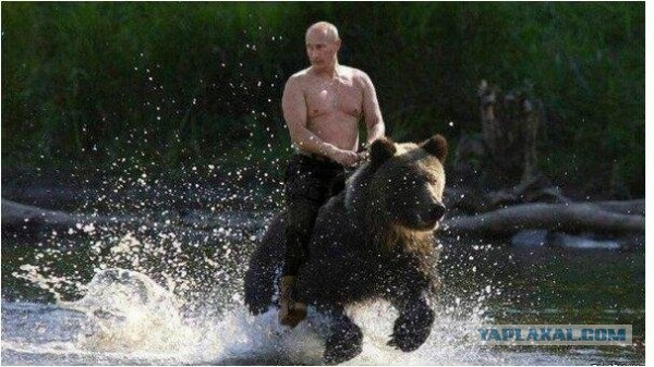 Медвежья сила России
