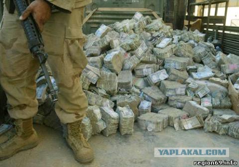 Черный волк