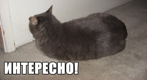 Смешные картинки