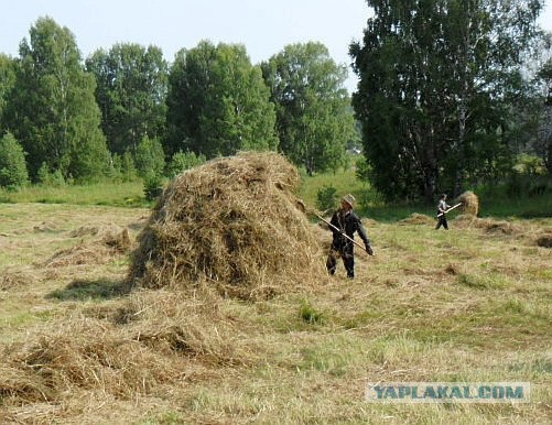 Утро понедельника.