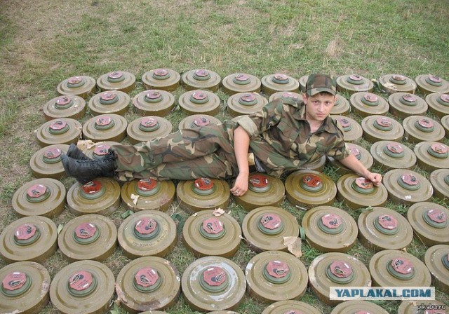 Прикольные картинки на понедельник .
