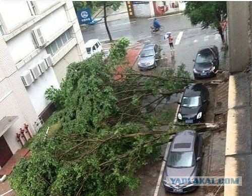 В Ростовской области бушует ураган