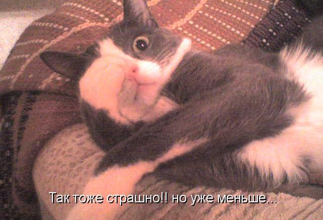 Человек-паук существует.