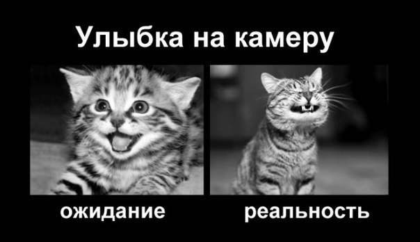 20 кадров, в которых мы невольно узнаём самих себя