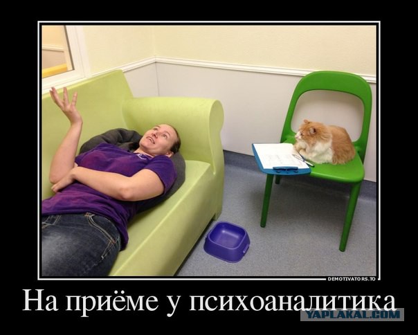 Котовторник 7.07.2015