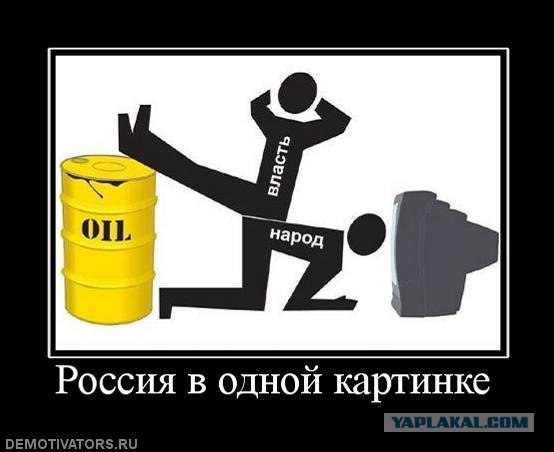 За кого голосовали? Выборы 2012