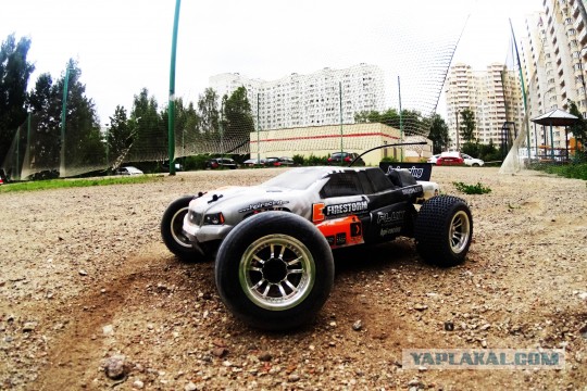 Наш ответ автоботанику!