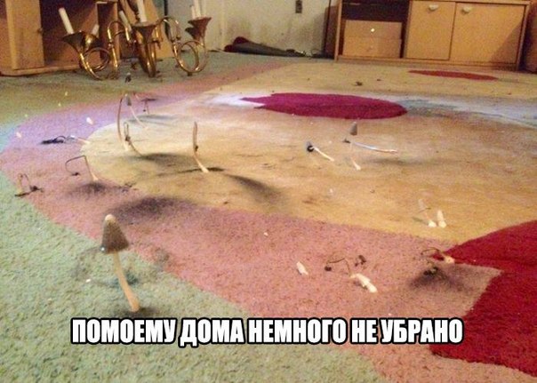 Всяко - разно...картинки