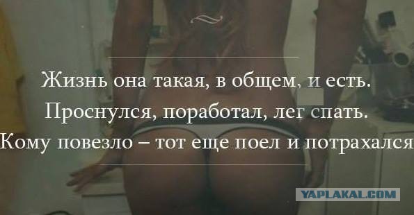 Подборка картинок