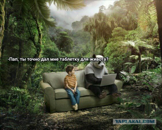 Подборка картинок 19.02.16