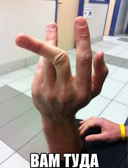 Подборка картинок из сети