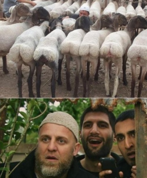 Для Поднятия Настроения