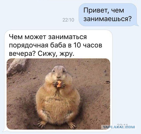 Смешные комментарии из социальных сетей 13.05.2016