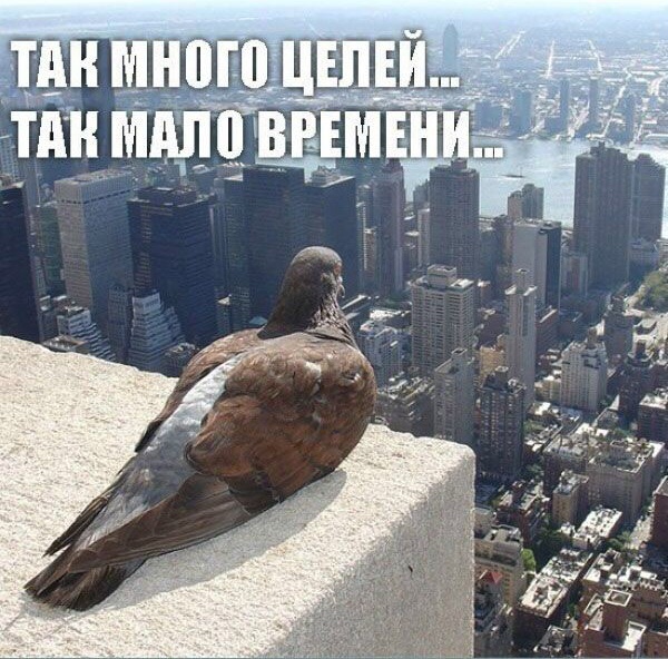 Тихий звиздец