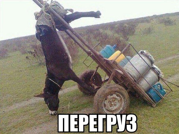 Дерьмо случается