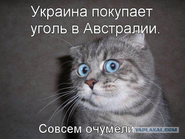 До и после: как одна лишь стрижка способна кардинально преобразить человека