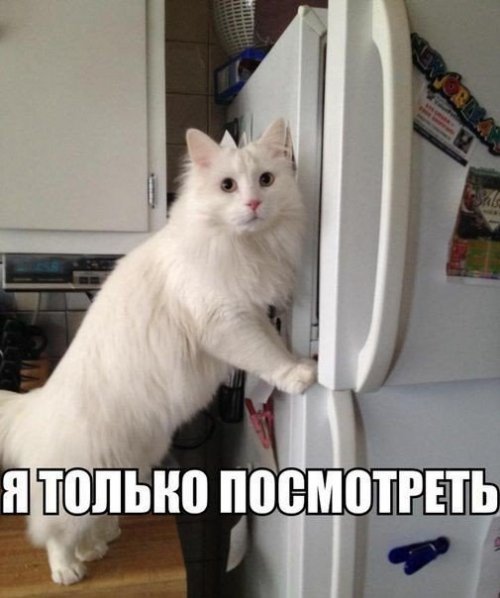 Немного смешных картинок для настроения. 16+