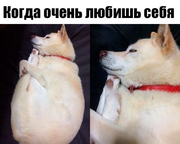 Картинки из мусорной корзинки 2