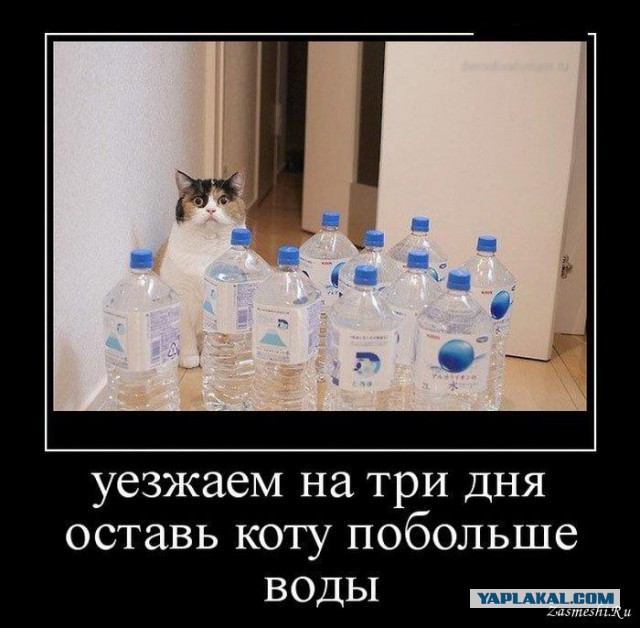 Официанты, которые оказались мастерами сарказма