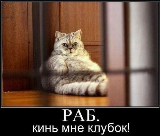 Битва века