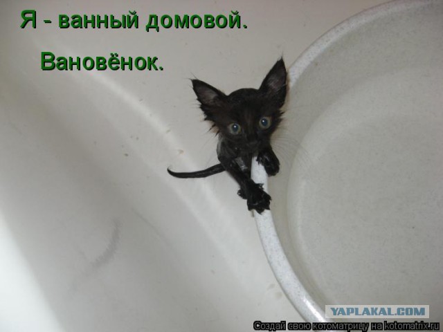 Немного годности - 3