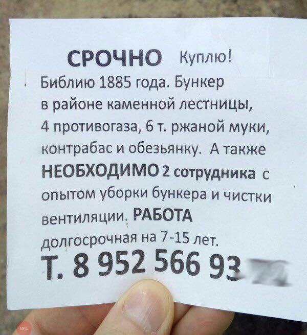 Подборка интересных и веселых картинок