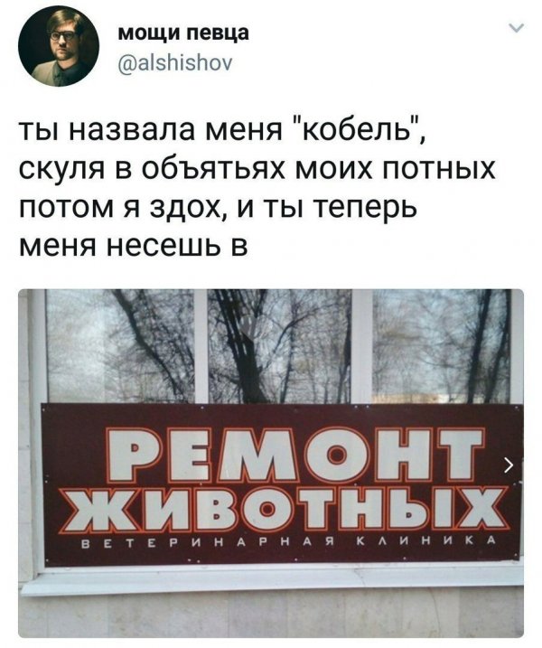 Нестандартный юмор