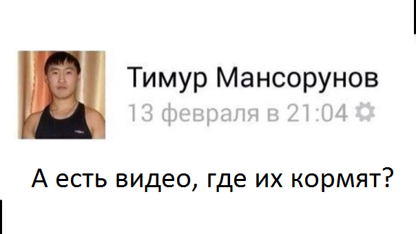 Красотки в бикини
