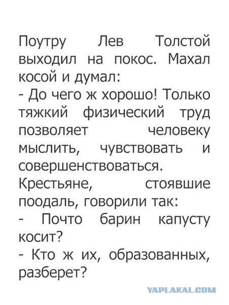 Нестандартный юмор