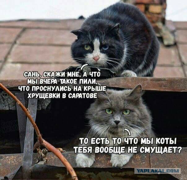 Выход из штопора. Собственный опыт.