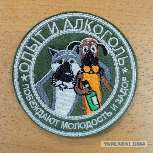 Итоги проверки пользователей