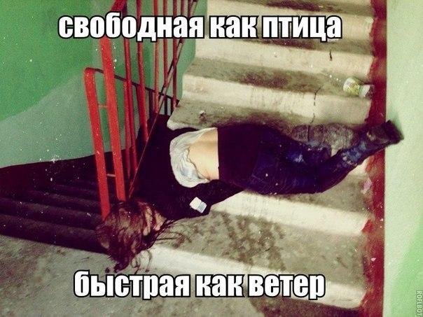 Скотсети и прочие интернеты 02.04.18