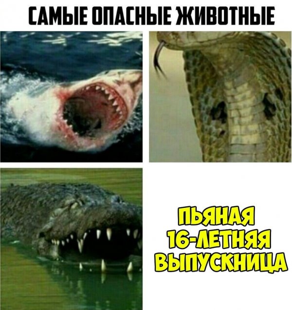 Нестандартный юмор