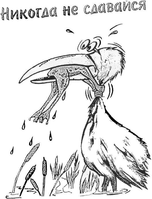 Борись до конца картинки