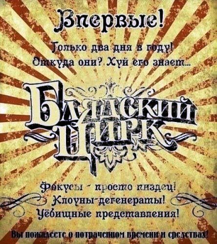 На Кубани во время циркового представления львица напала на 3-летнюю девочку