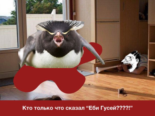 Пингвин - адское существо!