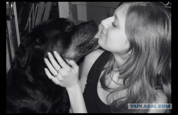 Собакочетверг!