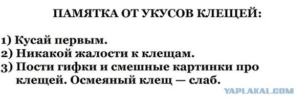 Решили пожарить шашлычка на выходных