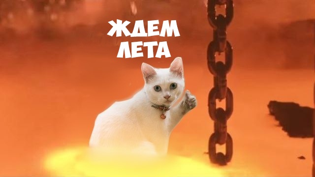 Суббота машет нам всеми конечностями