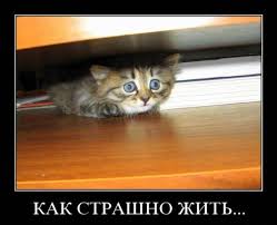 ВИЧ - нулевой пациент мировой пандемии