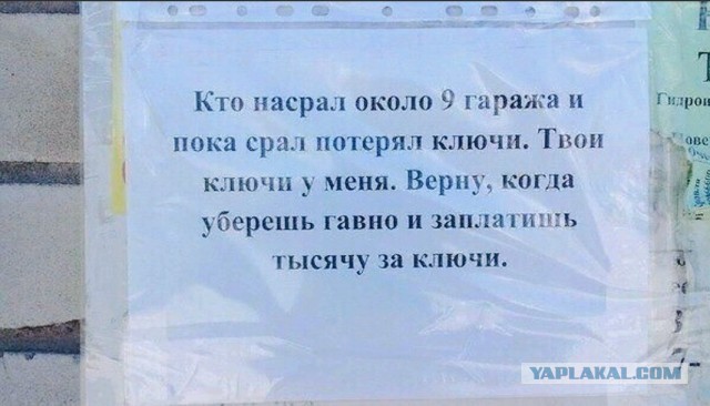 Прикольных картинок псто 01.10.19