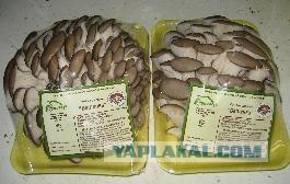Вкуснятина