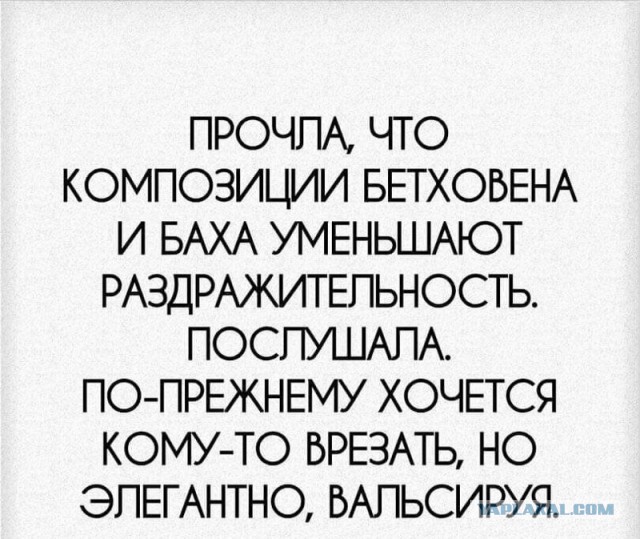 Прикольные картинки и фото с надписями и коментами