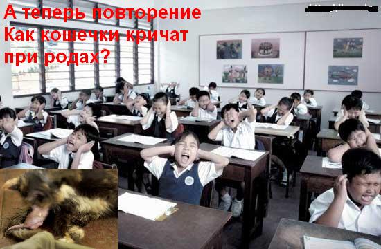 Фотожаба: Крик в классе