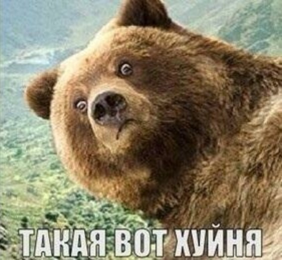 Женский взгляд