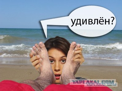 Фотожаба: Как я провел лето