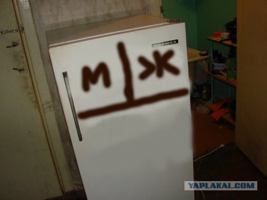 Холодильник в общаге