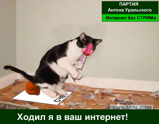 кот Матроскин и счёт за интернет