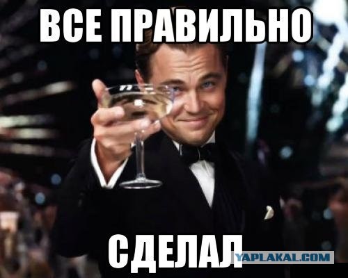 Нарушитель ПДД и его защитники нетрадиционной ориентации