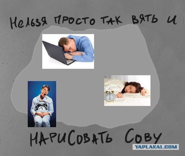 Фотожаба:Нельзя просто так взять и нарисовать СОВУ